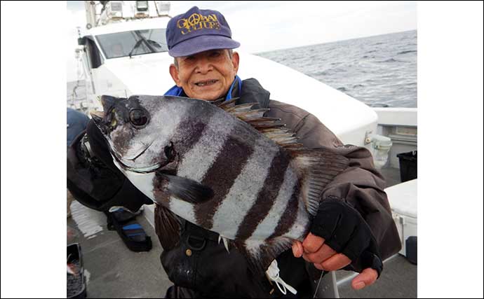 沖のコマセ五目釣りでイシダイにタカバにチカメキントキなど多彩