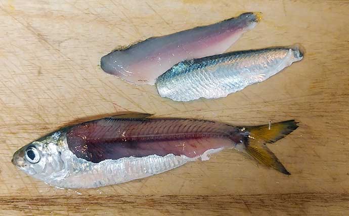 釣り人的「ズボラ＆時短」レシピ：サッパの酢漬け　お寿司にもピッタリ