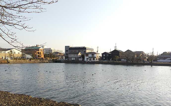 琵琶湖で「観光＋バス釣り」：彦根エリア　釣り飯は駅弁で決まり？