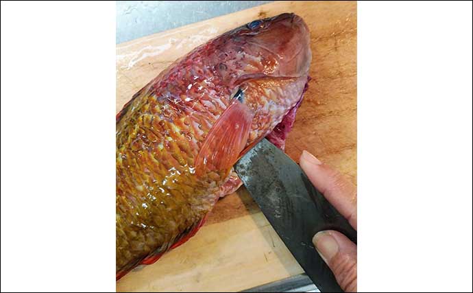 釣り人的「ゲスト魚」レシピ：『アカササノハベラ』の白焼き
