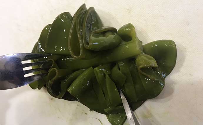 春先は海藻が旬　『生メカブ＆生ギバサ』の下処理法と美味しい食べ方