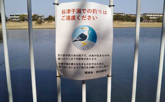 東京湾最奥のオアシス『谷津干潟』　生物の楽園に迫る環境変化とは？