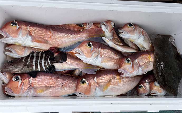 アマダイ釣りで良型含む本命２ケタ釣果　水中ライトでアタリが倍増？