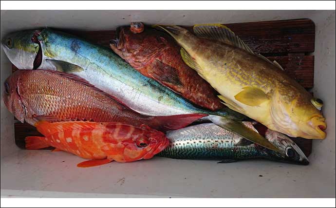今週の『船釣り情報』特選釣果　泳がせでヒラメにハタなど美味魚続々