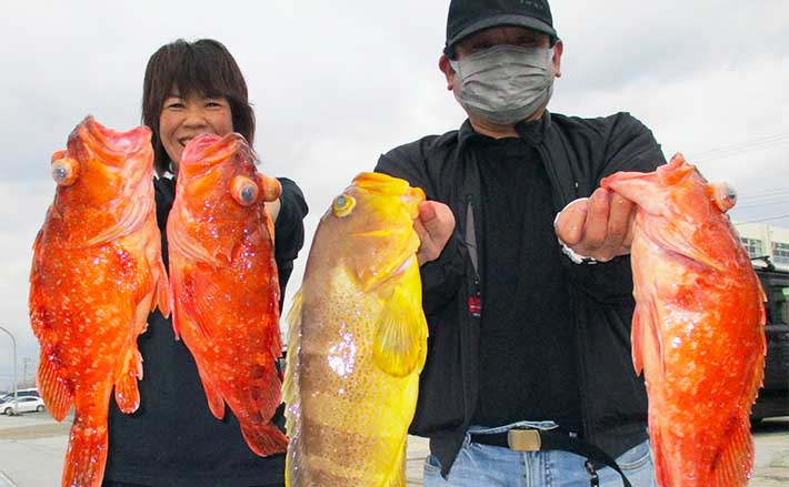 福岡】沖のエサ釣り最新釣果 根魚船でボッコ＆アオナなど高級魚続々