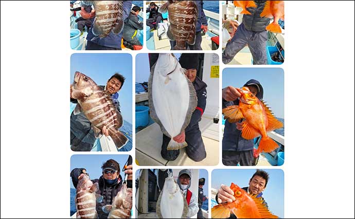 【福岡】沖のエサ釣り最新釣果　根魚船でボッコ＆アオナなど高級魚続々