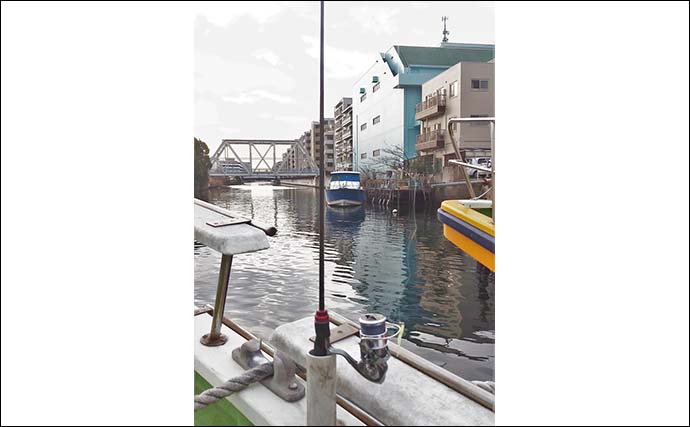 【2022年】東京湾バチコンアジング入門　タックル・仕掛け・釣り方
