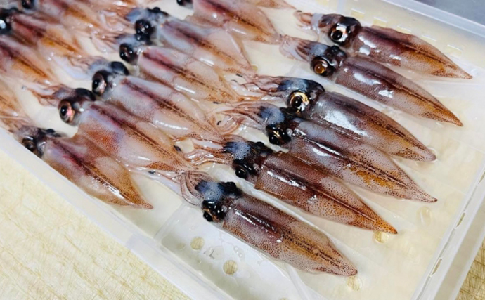 新鮮なホタルイカは美味だが生食は厳禁　寄生虫「旋尾線虫」とは？
