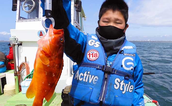 相模湾の根魚五目釣りで魚種多彩 家族連れにもアカハタにカサゴなど