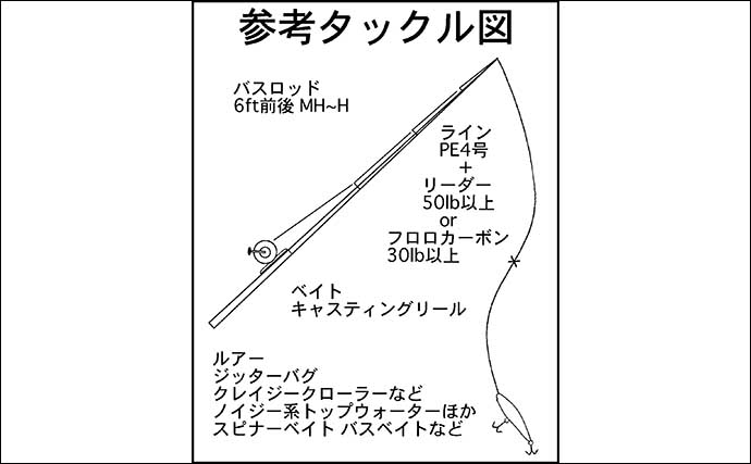 【2022年】ナマズゲーム入門　道具・ルアー・釣り方・ポイント開拓法