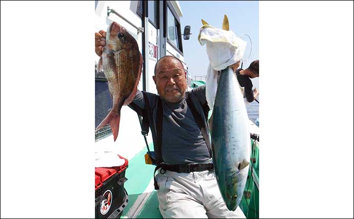 東京湾コマセマダイ釣り活況　乗っ込みの波到来で数・型も納得の釣果