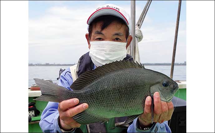 相模湾タイ五目釣りで多彩魚種　マダイ他クロダイにメジナにイシダイ