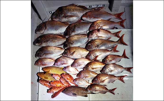 エギング＆タイラバ釣行で春の爆釣　アオリは苦戦も大型マダイ船中23尾