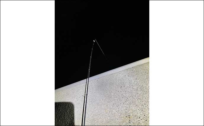 夜の堤防釣りでマアナゴ3尾　ポイント＆エサ選びの工夫が的中