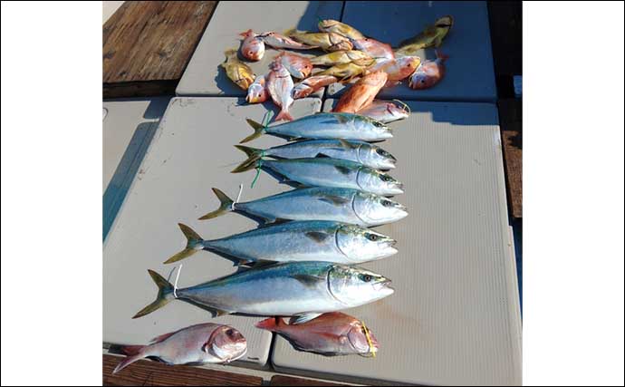 今週の『船釣り情報』特選釣果　タイラバでマダイにアマダイに青物も