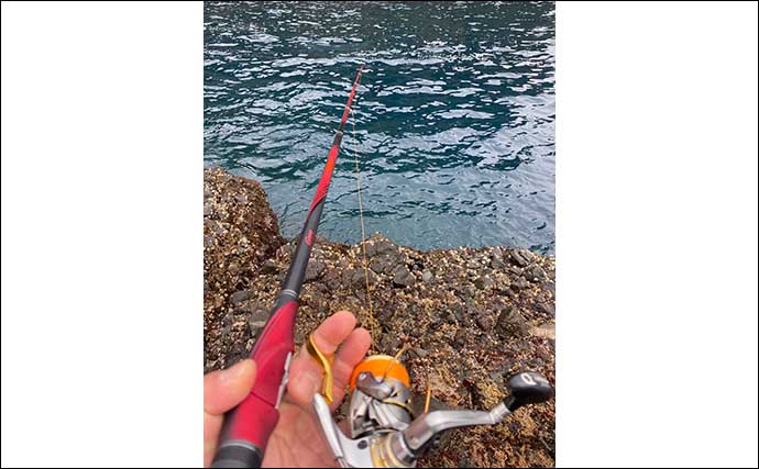 磯フカセ釣りで41cm頭にグレ好捕　水温低下の激渋を仕掛け調整で打破