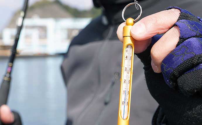 エギングでアオリイカを釣るための5つの条件 【生態・時期・時間・場所・潮周り】
