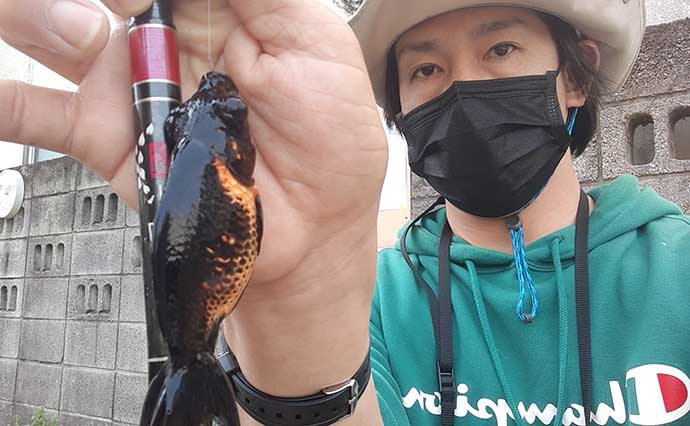 東京23区の釣り堀で100尾「束釣り」達成　種類豊富なキンギョと対面