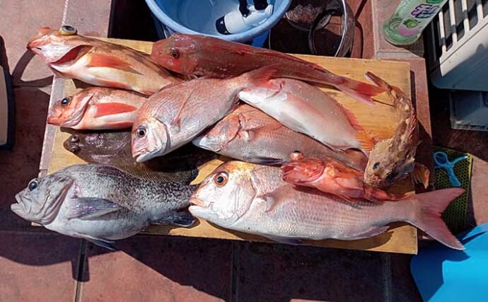 茨城沖テンヤマダイ釣りで本命2匹　ゲスト高活性で10魚種と対面