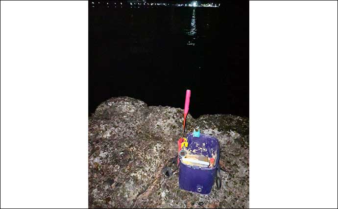 夜の堤防で電気ウキ釣りが楽しい　小型メインにアジの連発を堪能