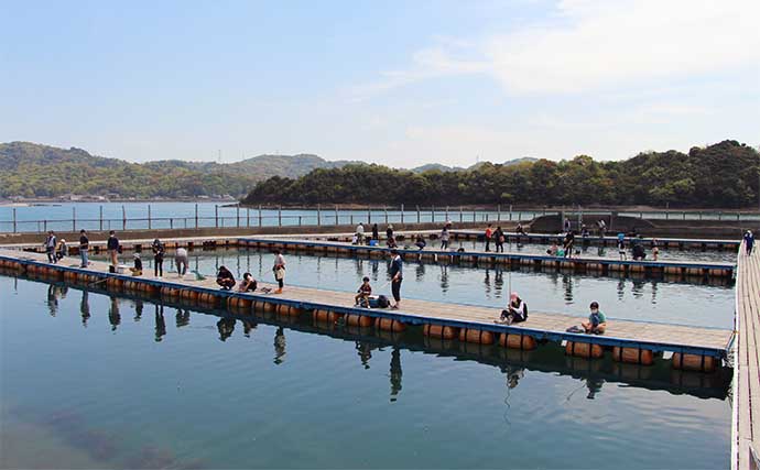 【2022年】海洋釣り堀入門　タックル・エサ・釣る方・注意事項を紹介
