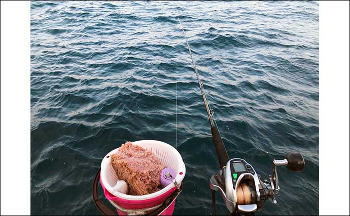 美味イサキ釣りで32cm頭に14匹　家族からは「また釣ってきて」