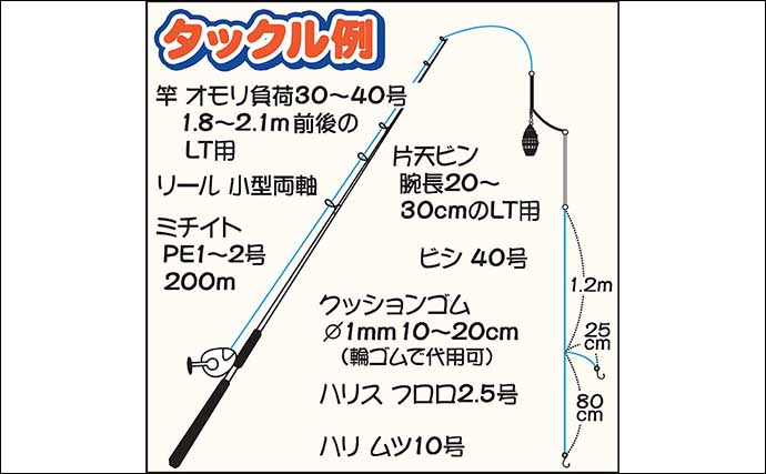 陸 沖でのアジ釣り仕掛け徹底解説 大型狙いにオススメの釣り方は Tsurinews Part 2