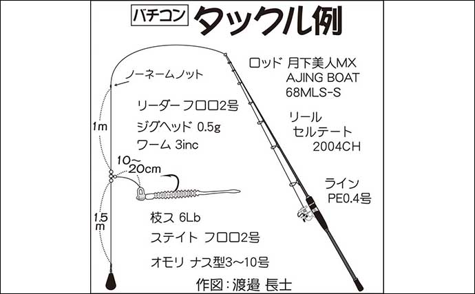 陸 沖でのアジ釣り仕掛け徹底解説 大型狙いにオススメの釣り方は Tsurinews Part 2