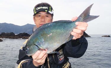 初夏の熊本で磯釣り満喫　45cm尾長グロに50cm級チヌ手中
