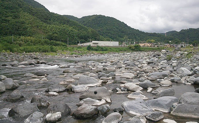 【2022年】おすすめアユ友釣り場：神奈川・酒匂川　様々な流れが特徴