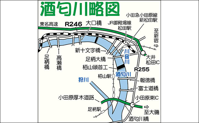 【2022年】おすすめアユ友釣り場：神奈川・酒匂川　様々な流れが特徴