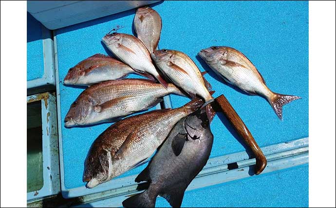 【福岡】沖釣り最新釣果　マダイにイサキに根魚とターゲット多彩