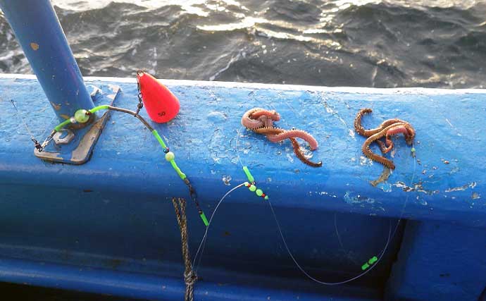 常磐沖「小突きカレイ釣り」でナメタガレイ交じり五目釣り達成