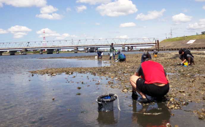 東京湾奥で潮干狩りを堪能　2022年はホンビノス貝の当たり年？