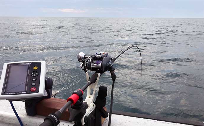 上越コマセマダイ釣りで良型連打　指示ダナは海面から7mと激浅？