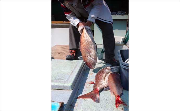 【福岡】沖のエサ釣り最新釣果　2kg超アオナに38kgアラなど根魚好調
