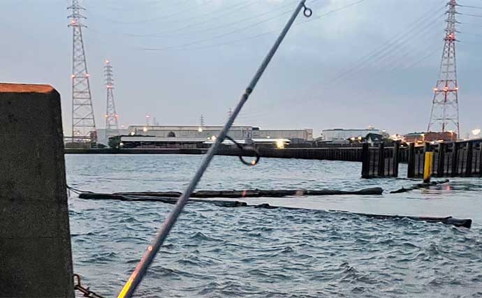 大阪湾の春アジングで2連敗　釣れなかった理由は【風】にあり？