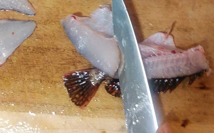 釣り人的「ひと手間」レシピ：カサゴの糸切り　身近な魚が料亭の味に？