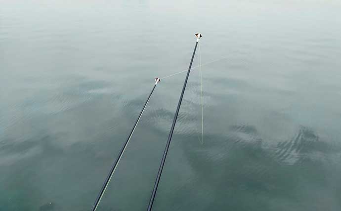投げカレイ釣りで43cmマコガレイ堂々浮上　潮の動き始めにヒット