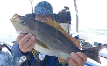 今週の『船釣り情報』特選釣果　型も数も狙える九州の「イサキ」に注目