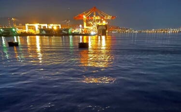 大阪湾の春アジング釣行でバラシ連発 アジには苦戦も40cmチヌ顔出し