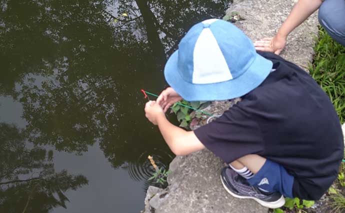 石神井公園でザリガニ＆淡水小物釣り満喫　マブナやブルーギルも顔出し