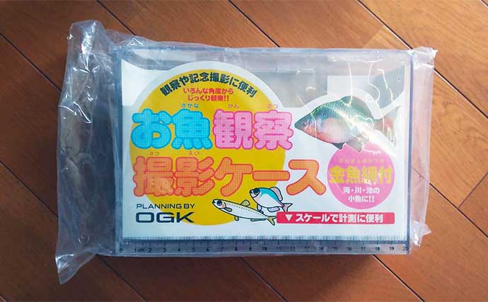 【2022年・初夏】堤防釣り入門　サビキ・ちょい投げ・ブラクリ徹底解説