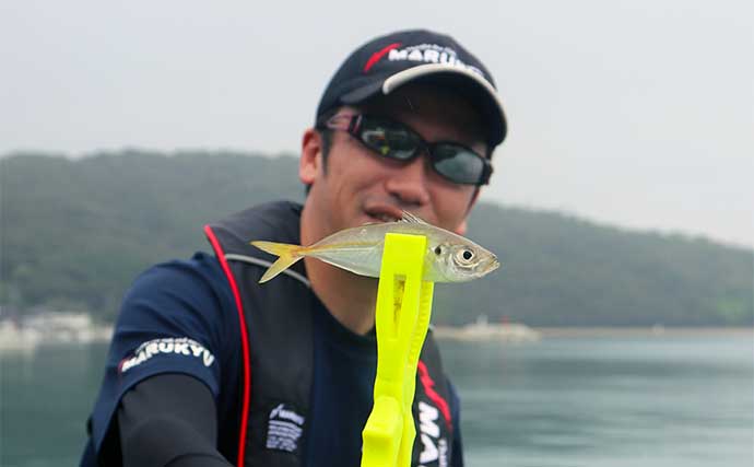 【2022年・初夏】堤防釣り入門　サビキ・ちょい投げ・ブラクリ徹底解説