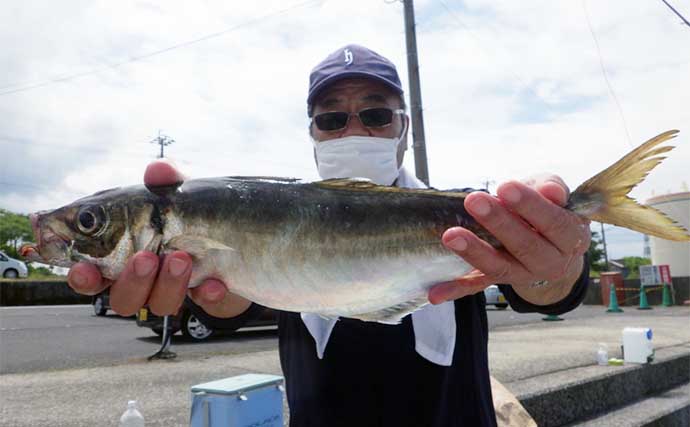 【熊本・大分】沖釣り最新釣果　50cm級大型『関アジ』が好調