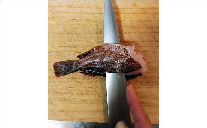 釣魚で作る干物レシピ：カサゴの一夜干し　冷蔵庫干しでもOK