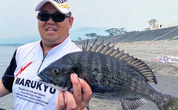 サーフでのウキダンゴ釣りで40cm級クロダイ 潮の変化を捉えてキャッチ Tsurinews