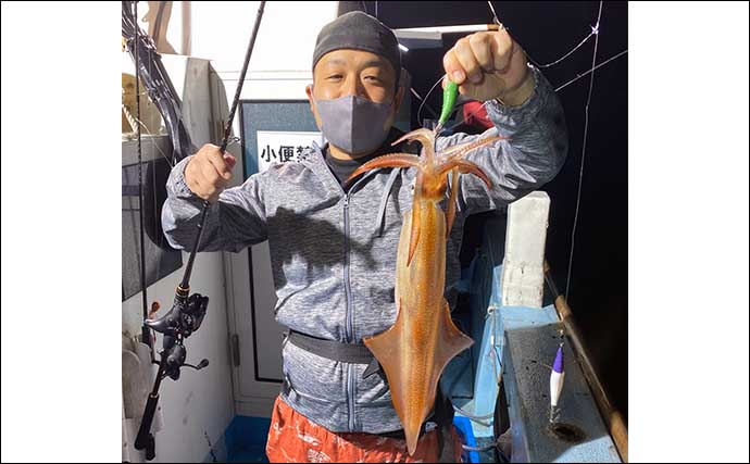 【福岡】夜焚きイカ最新釣果　釣果上伸傾向で今後にさらに期待