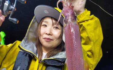 【福井】沖釣り最新釣果　良型交じりでマイカ数釣りのチャンス到来