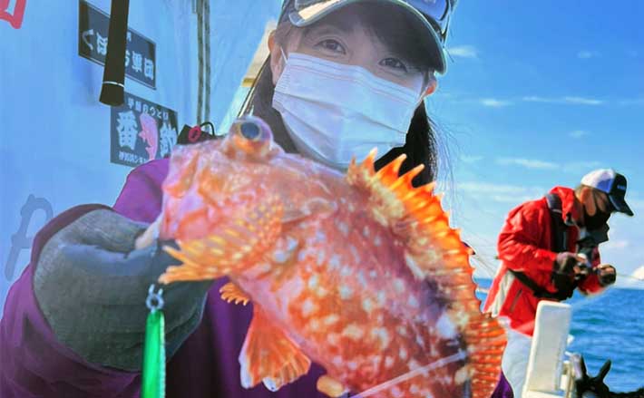 愛知 沖釣り最新釣果 人気のsljで根魚に青物と多彩魚種キャッチ Tsurinews